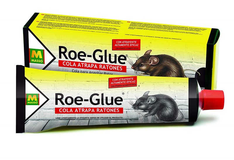 Cuanto Dura El Pegamento Para Ratas